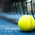 What Every Player Should Know